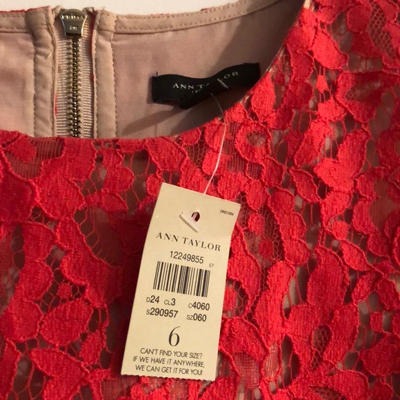 Beautiful NWT salmon/ orange lace top - Picture 3 of 4